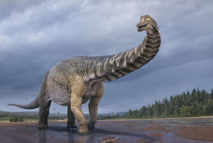 Titanosaur with distinct skeletal traits.