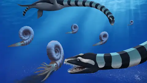 Scientists Solve the Mystery of the 85-Million-YO Sea Monster That Crushed Prey With Giant Teeth